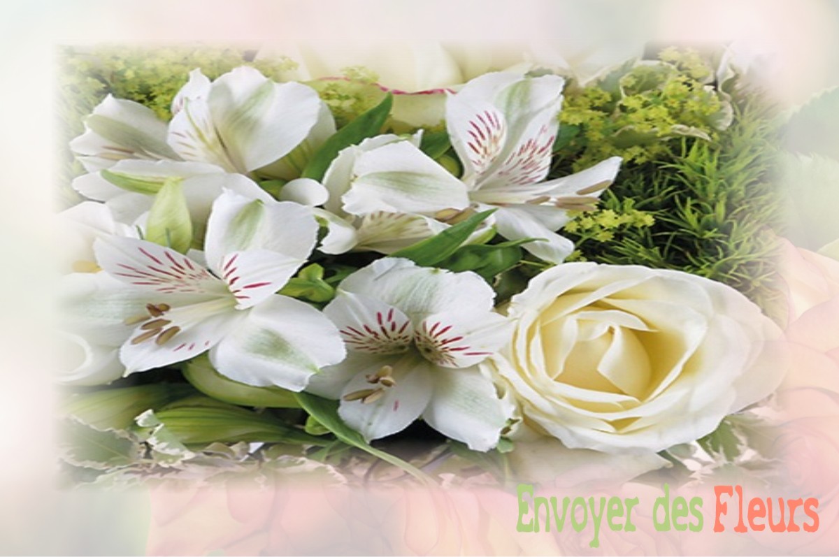 envoyer des fleurs à à DAMPIERRE-SUR-LE-DOUBS